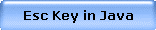 Esc Key in Java