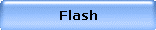 Flash